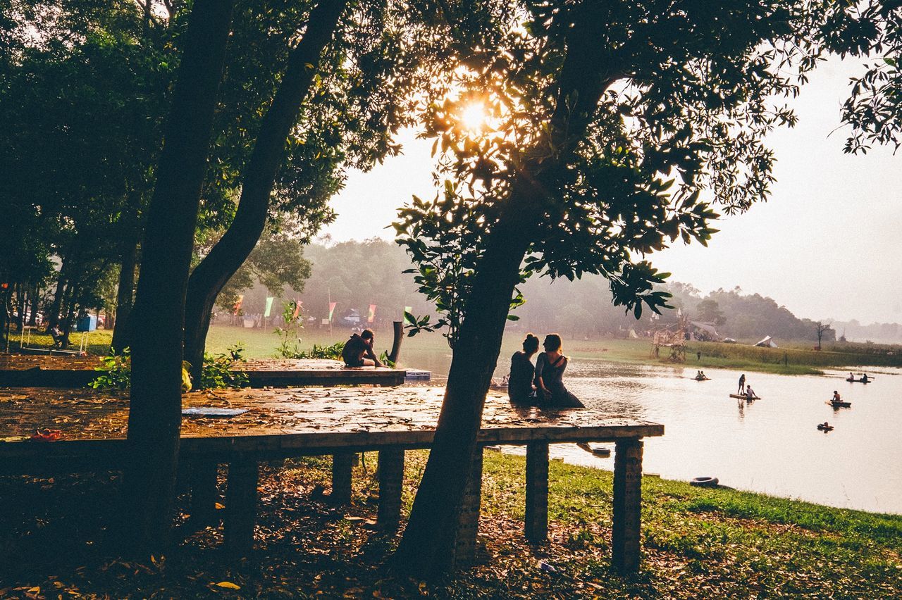 tree, water, lake, tranquility, tranquil scene, nature, scenics, lakeshore, beauty in nature, bench, river, animal themes, sunlight, sunset, tree trunk, growth, park - man made space, sky, silhouette, branch