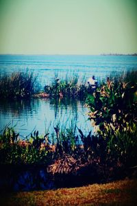 Scenic view of lake against clear sky