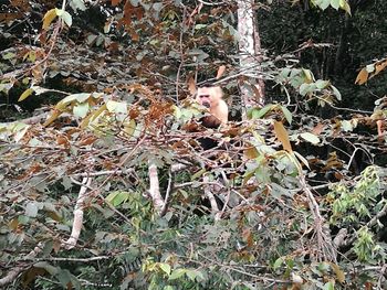 Young woman sitting on outdoors