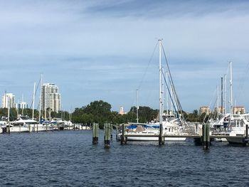 Sailboats moored at harbor against sky