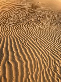 Sand dunes in desert