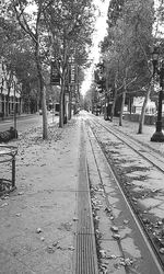 Railroad tracks in winter