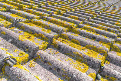 Full frame shot of yellow pattern