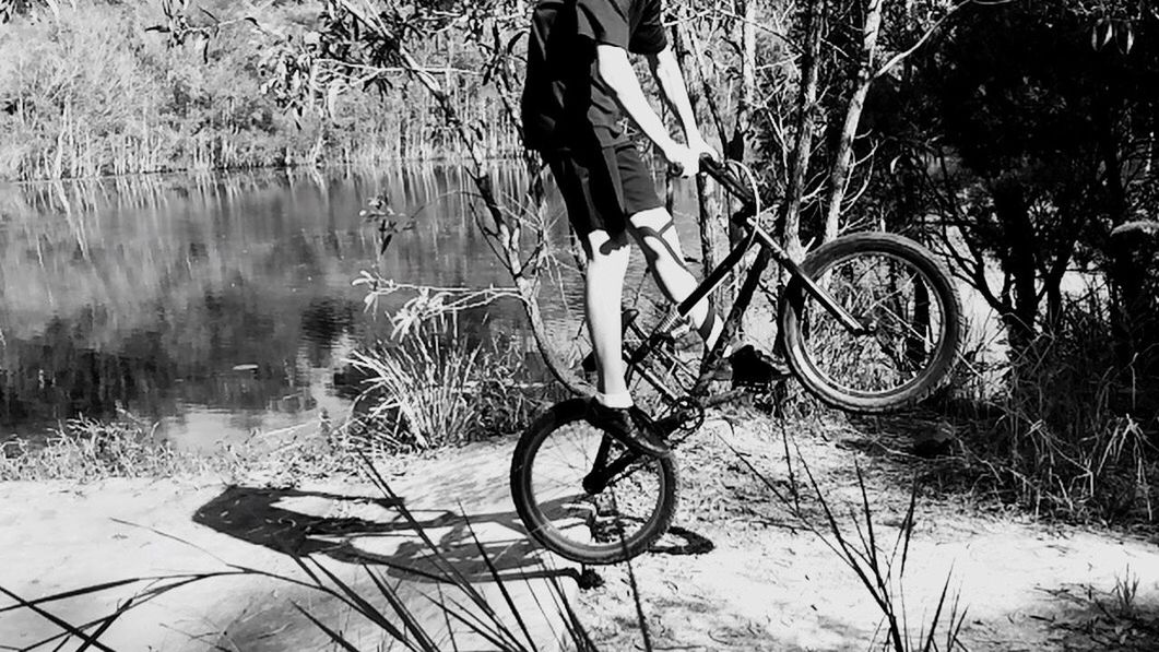 bicycle, tree, lifestyles, leisure activity, transportation, low section, mode of transport, riding, men, land vehicle, cycling, travel, on the move, unrecognizable person, side view, day, tree trunk, nature