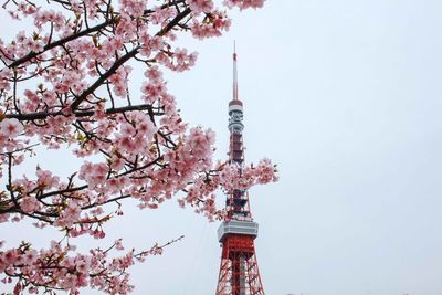 Low angle view of tower