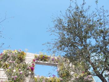 Low angle view of built structure against clear blue sky