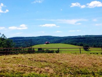 Scenic view of agricultural field against sky