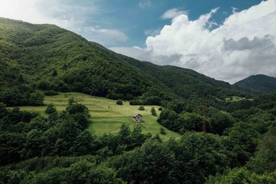 Scenic view of agricultural field against sky