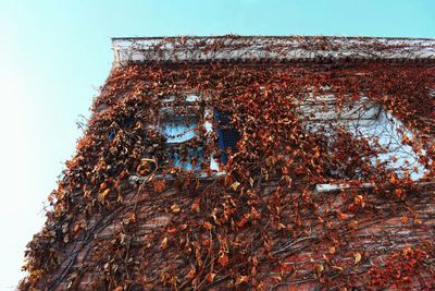 Low angle view of old building against clear sky