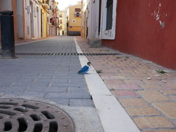 Street amidst buildings in city