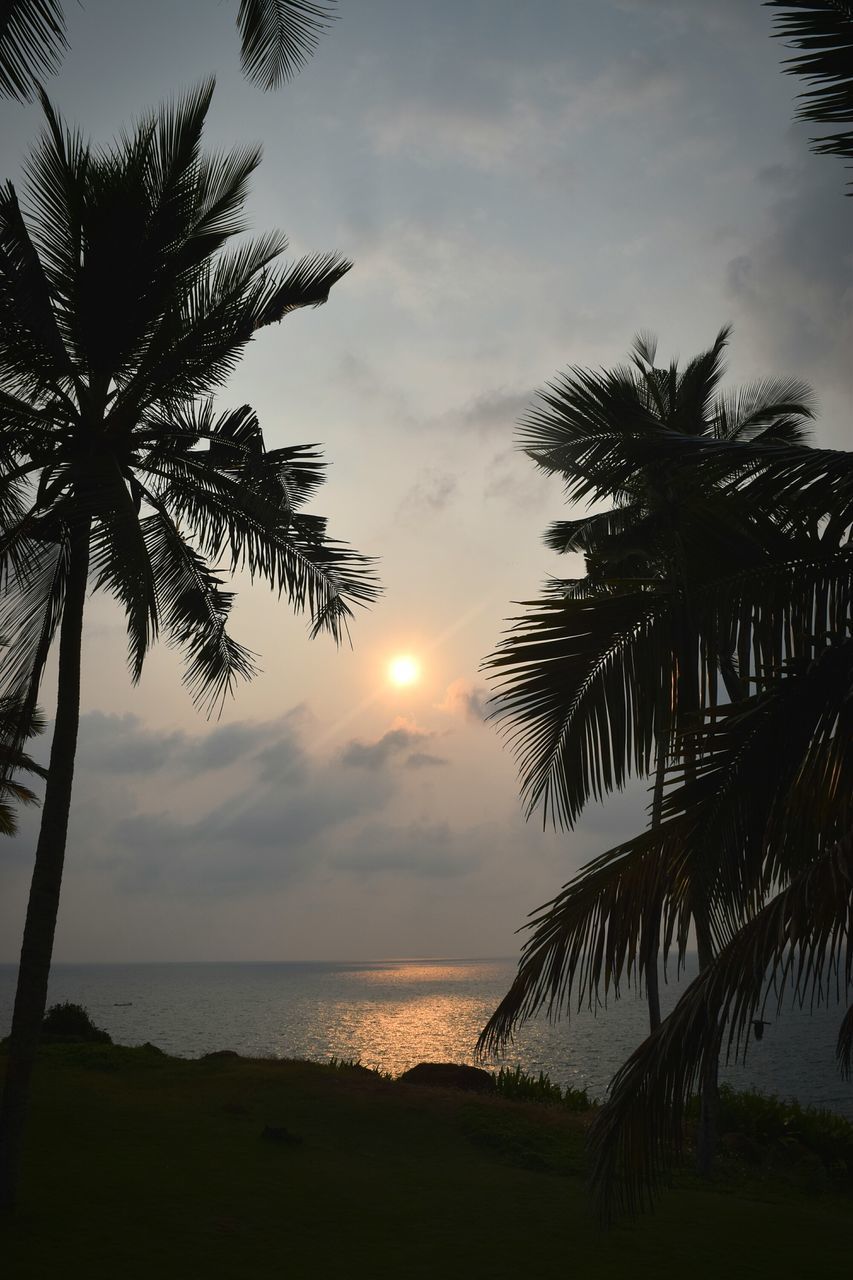 water, sky, tropical climate, palm tree, beauty in nature, sea, tree, scenics - nature, horizon over water, horizon, tranquility, tranquil scene, plant, nature, cloud - sky, sunset, beach, no people, land, sun, outdoors, palm leaf, moonlight, coconut palm tree