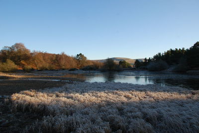 Scenic view of river against clear sky