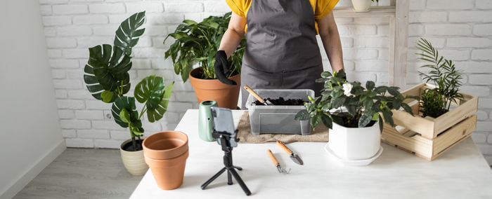 Low section of woman holding potted plant on table at home