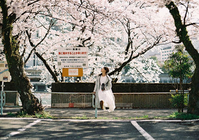 Woman standing by flower tree in city