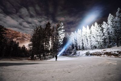 Trees on snow against sky at night