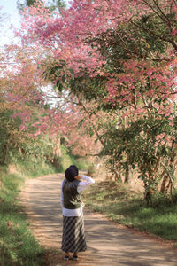 Rear view of woman standing against cherry tree