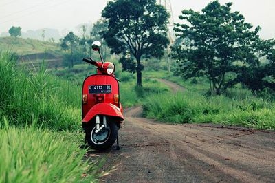 Rear view of red car on road