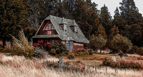 Plants growing on field by house in forest