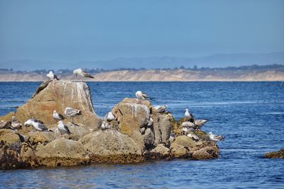 Rocks in sea against sky