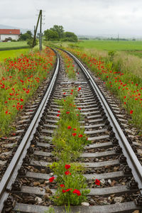 View of railroad tracks along plants
