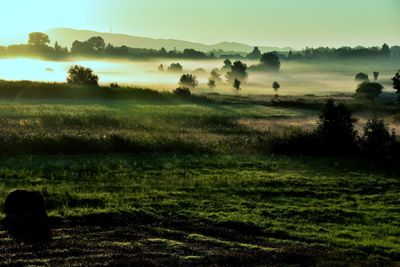 Scenic view of rural landscape
