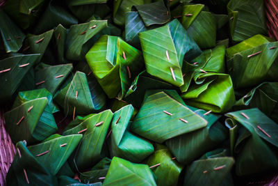 Full frame shot of green leaves