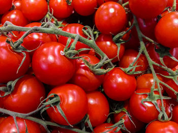 Full frame shot of tomatoes