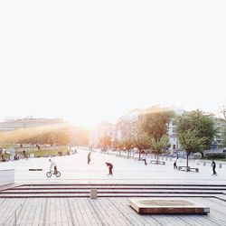 Trees in city against clear sky