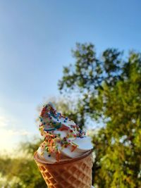 Close-up of ice cream on plant against sky