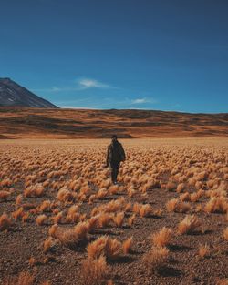 Woman walking on field against sky