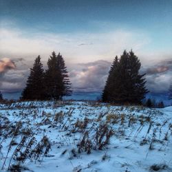 Scenic view of snow covered landscape