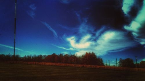 Trees on field against sky