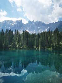 Scenic view of lake by trees against sky