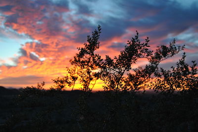 Scenic view of landscape at sunset