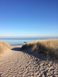 Scenic view of beach against clear blue sky