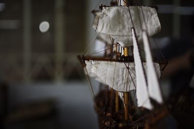 Close-up of clothes hanging at night