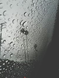 Close-up of water drops on glass