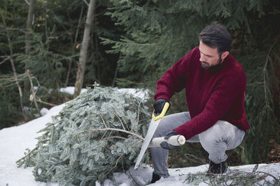 Mature man cutting branch with hand saw on snowy land