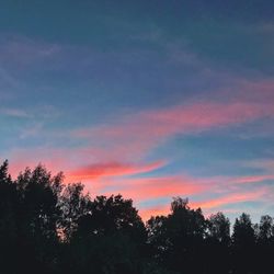 Low angle view of silhouette trees against sky at sunset