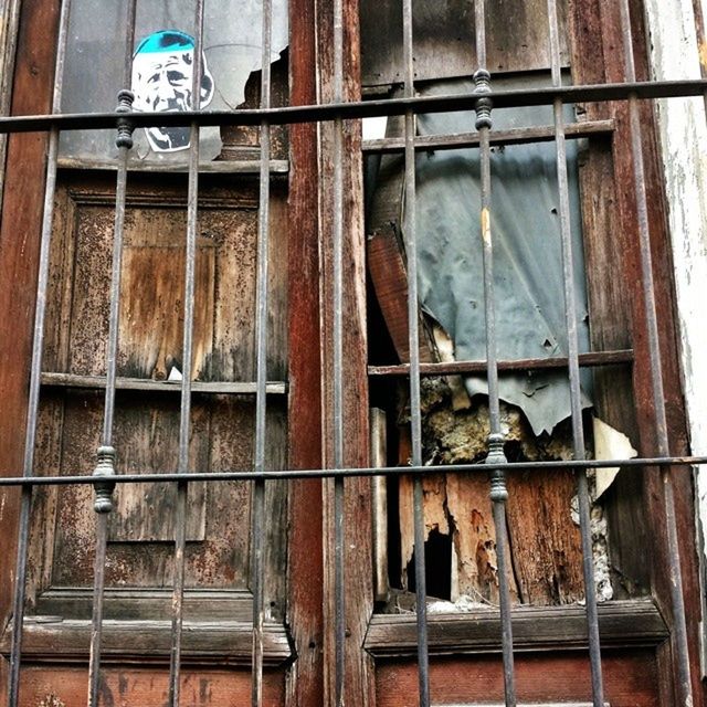 animal themes, window, wood - material, built structure, building exterior, architecture, old, house, domestic animals, abandoned, wood, one animal, wooden, fence, livestock, glass - material, cage, low angle view, no people, damaged