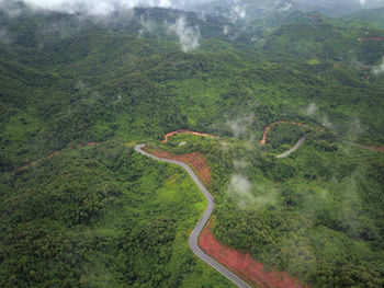 Countryside road passing through the lush green tropical rain forest mountain landscape