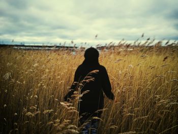 Rear view of woman standing on wheat field