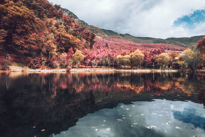 Scenic view of lake by trees against sky