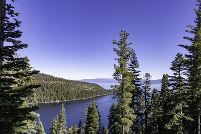 Scenic view of lake against clear blue sky