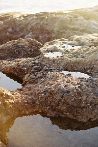 Close-up of rocks on shore