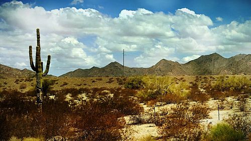 Panoramic view of landscape against sky