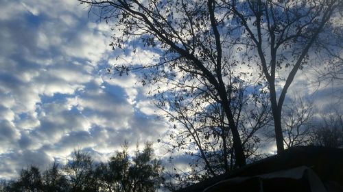 Low angle view of bare tree against cloudy sky