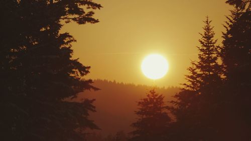 Silhouette trees against sky during sunset