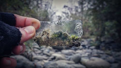 Close-up of hand holding rock