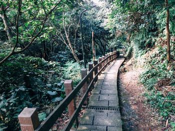 Railroad tracks amidst trees in forest